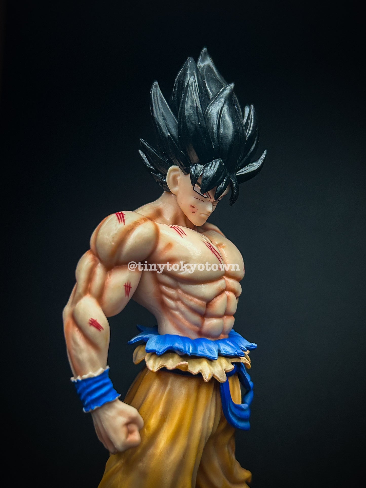 DBZ - Goku