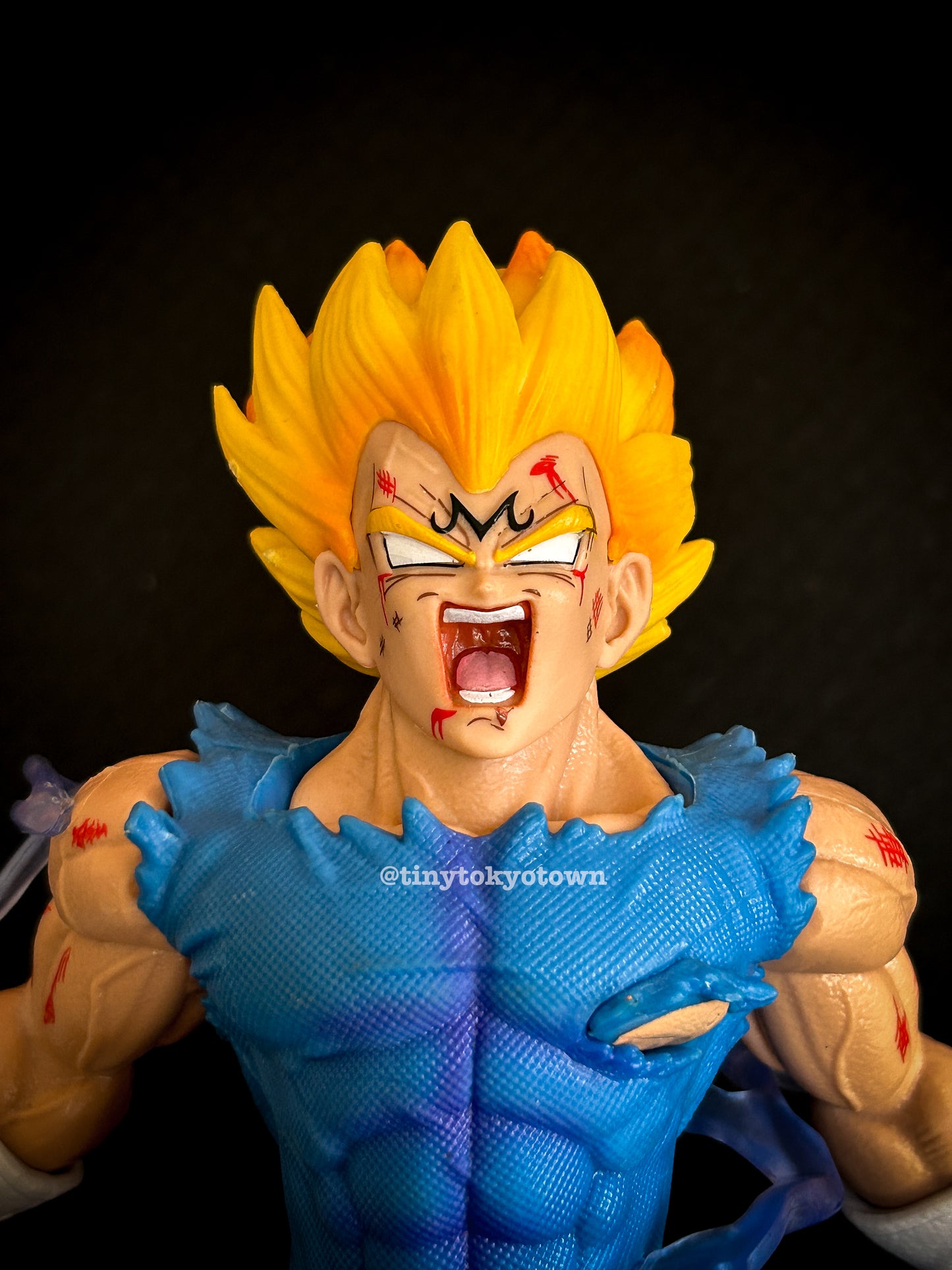 DBZ - Majin Vegeta